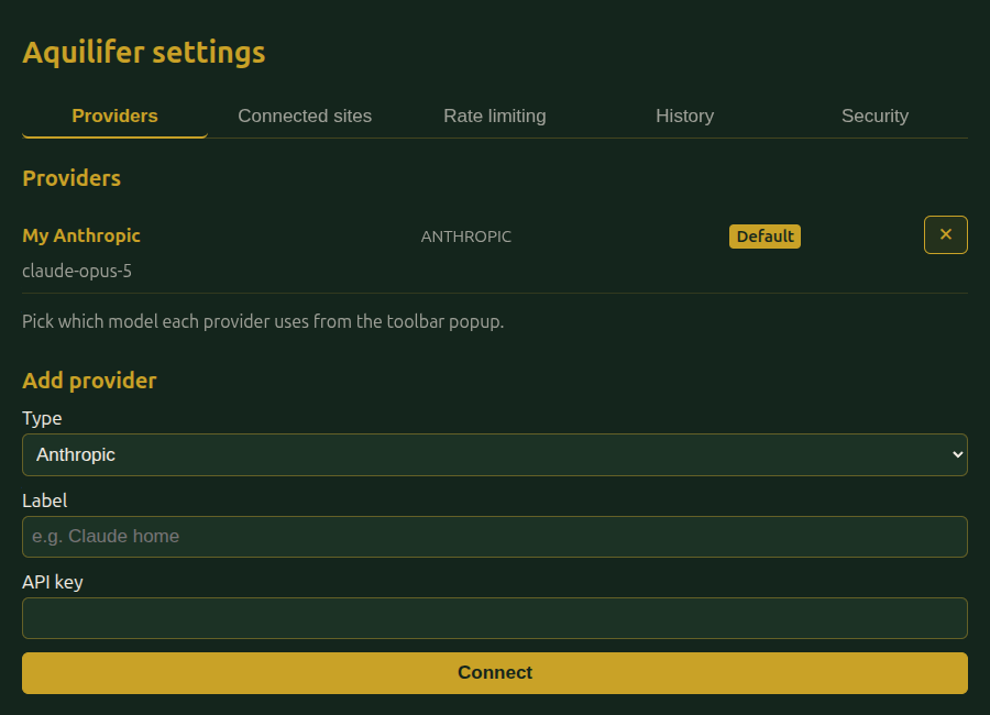 The Providers tab after connecting, showing the new provider marked as the default with its auto-picked model
