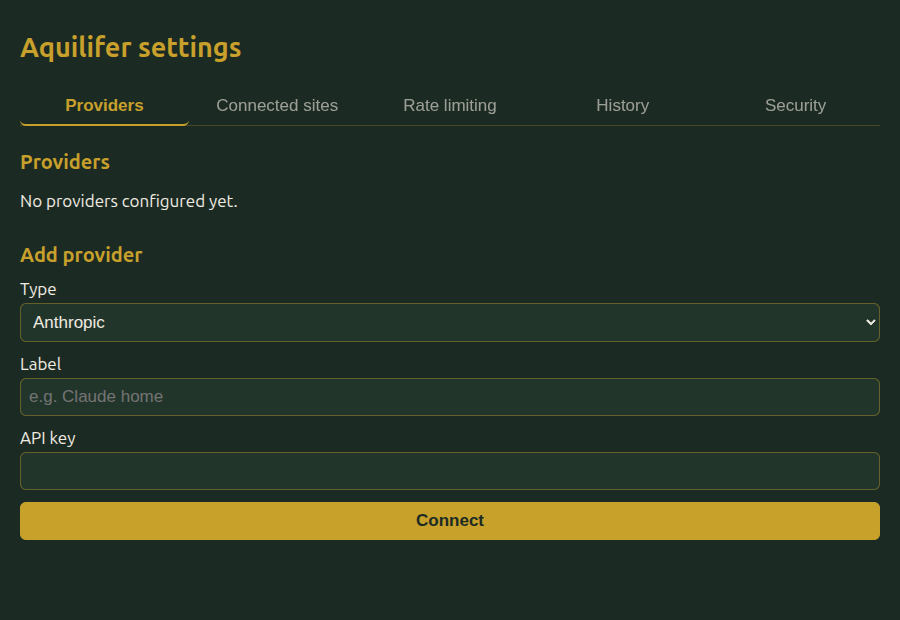 The Providers tab with no providers configured yet, and the empty Add provider form below it