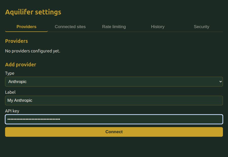 The Add provider form filled in with a label and a masked API key